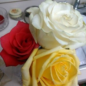 Meet your Posher, Mary anne